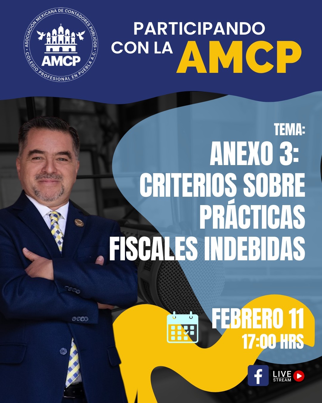 Criterios sobre prácticas fiscales indebidas.