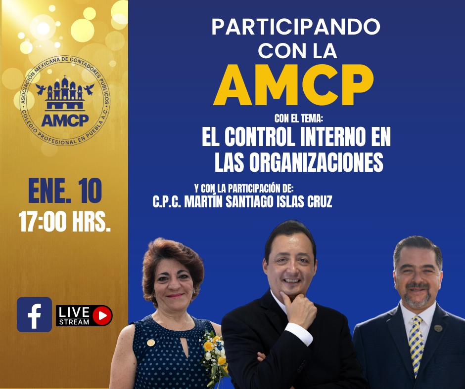 EL CONTROL INTERNO EN LAS ORGANIZACIONES